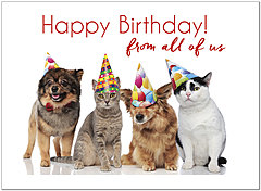 Select a verse or write your own. Party Pets Birthday Card D1465U-X